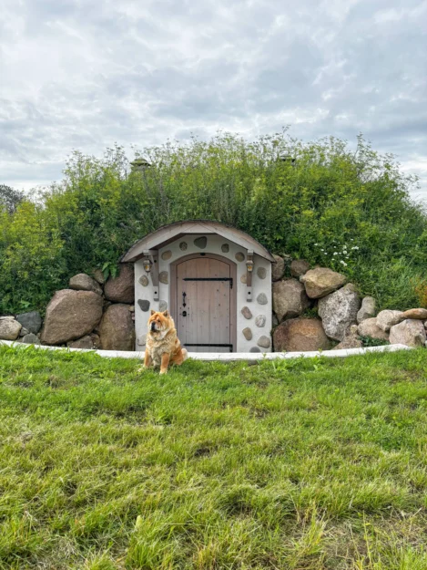 Förrådskällaren är varje trädgårds hjärta